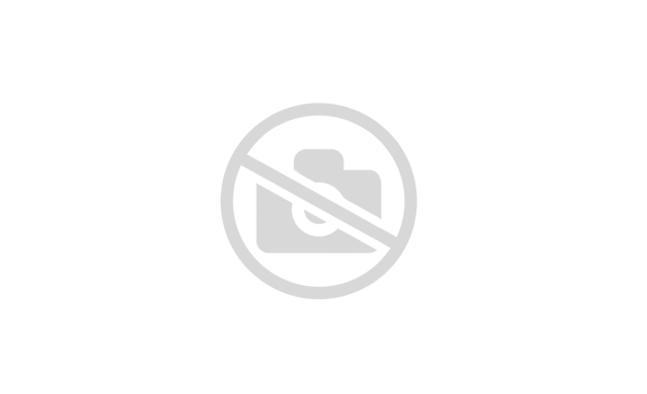 HARZ Labs Form2 Model – Фотополимер для настольных SLA