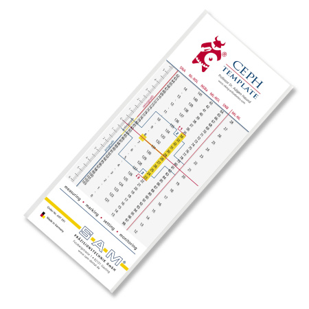 SAM ART 391 — Шаблон CEPH