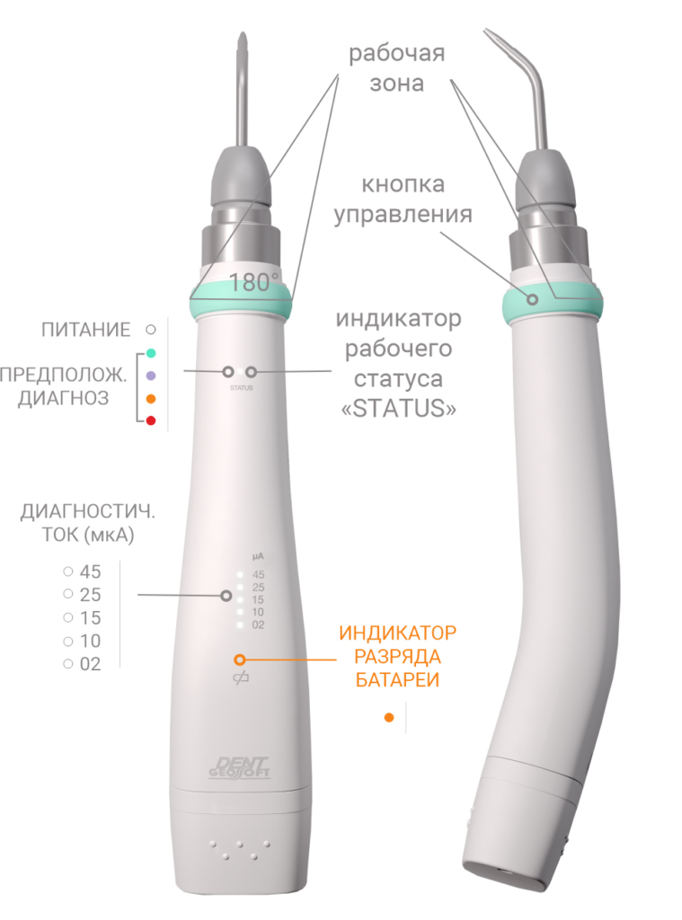 estus-pulp2-759x1024 копия.jpg