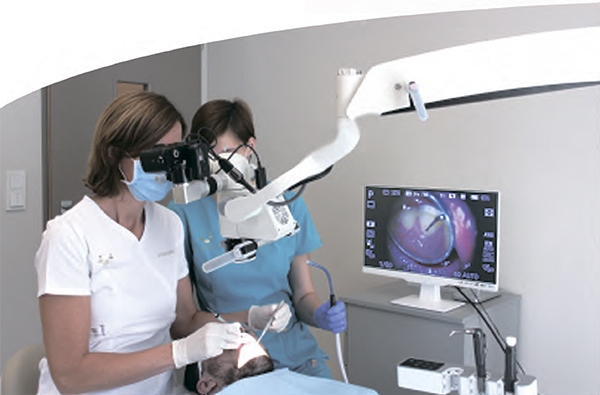 GreenMED10.jpg GreenMED10.jpg