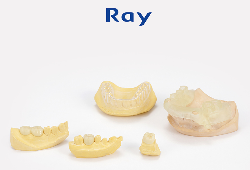 RAYSCAN Alpha+ 3D (1)-16.jpg