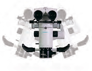 GreenMED15.jpg GreenMED15.jpg