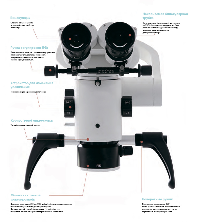 GreenMED3.jpg GreenMED3.jpg