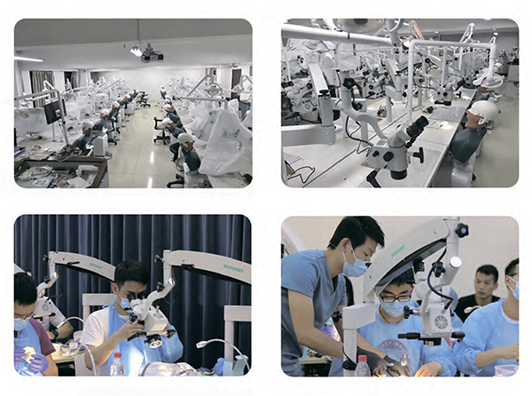 GreenMED19.jpg GreenMED19.jpg