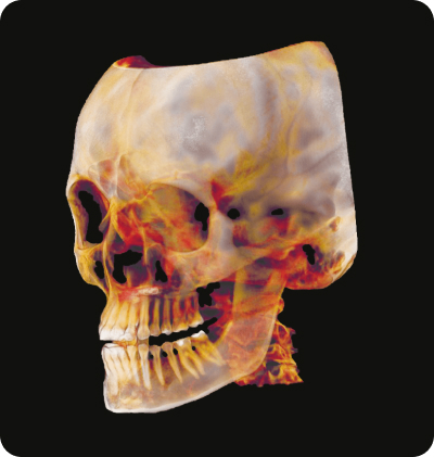 Один снимок.jpg